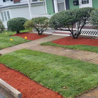 Roberto Affordable Landscaping